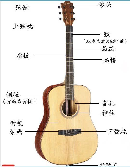 吉他的种类和区别(吉他选购和分类想学吉他的看一下)
