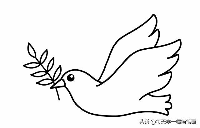 白鸽简笔画三步完成(白鸽子简笔画的画法-综合百科 深圳生活网