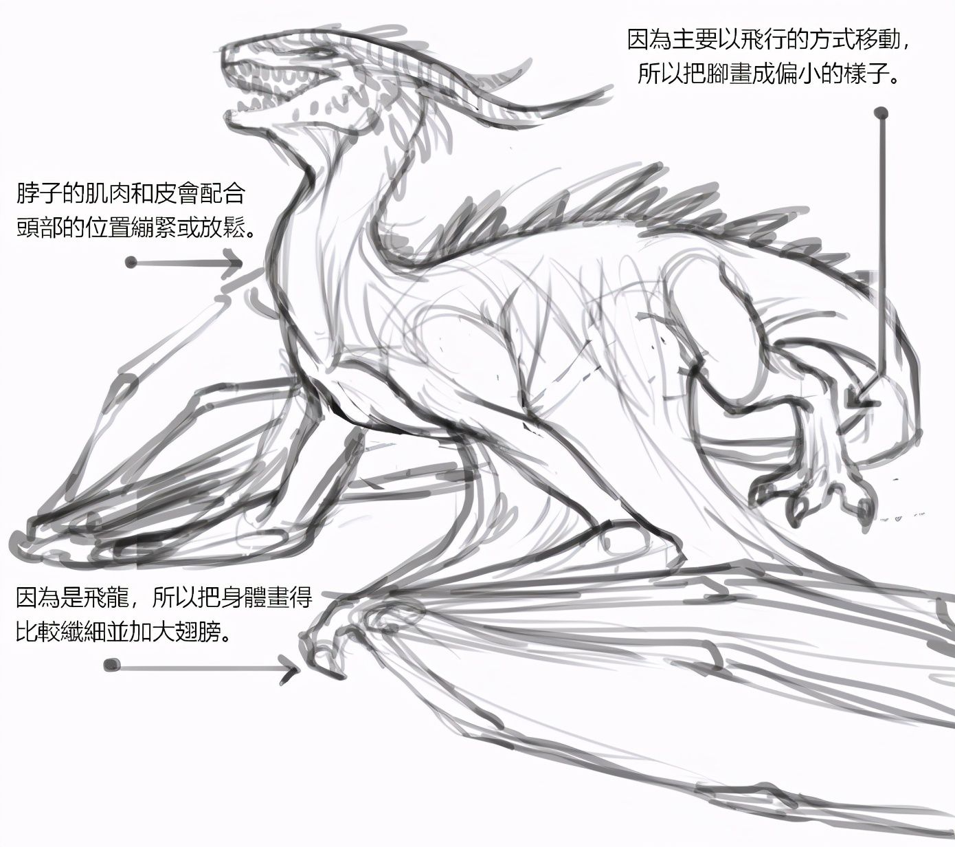 龙怎么画绘画初学者应该怎么画龙