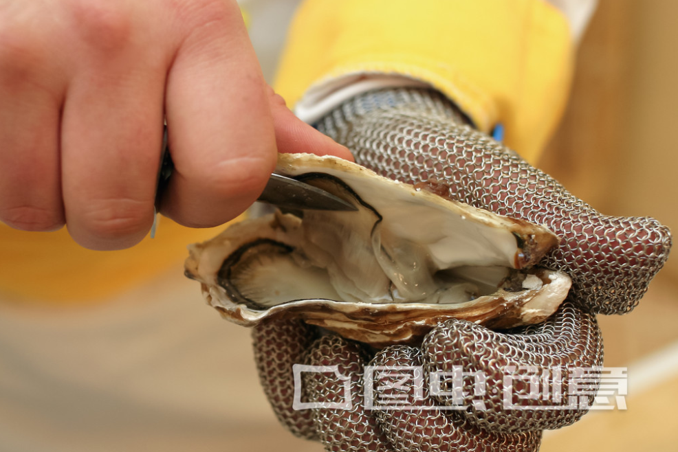 生蚝开壳易伤手,教你快速开生蚝,一捏即开不伤手