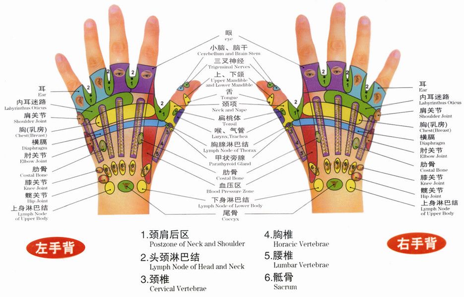 手部反射区图片(最详细的手掌穴位图解大全)