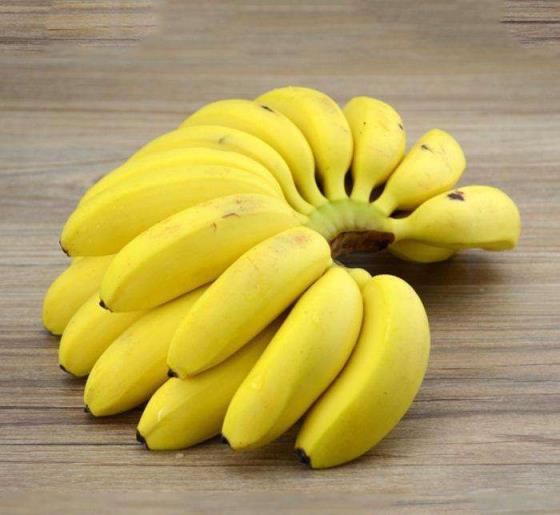 芭蕉和香蕉的区别香蕉和芭蕉是同一种吗