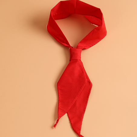 红领巾的系法两种方法