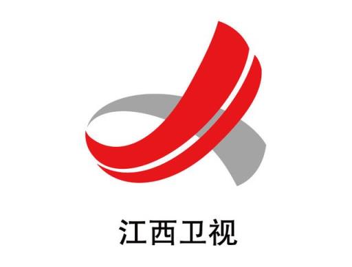 各大卫视台标 logo图片