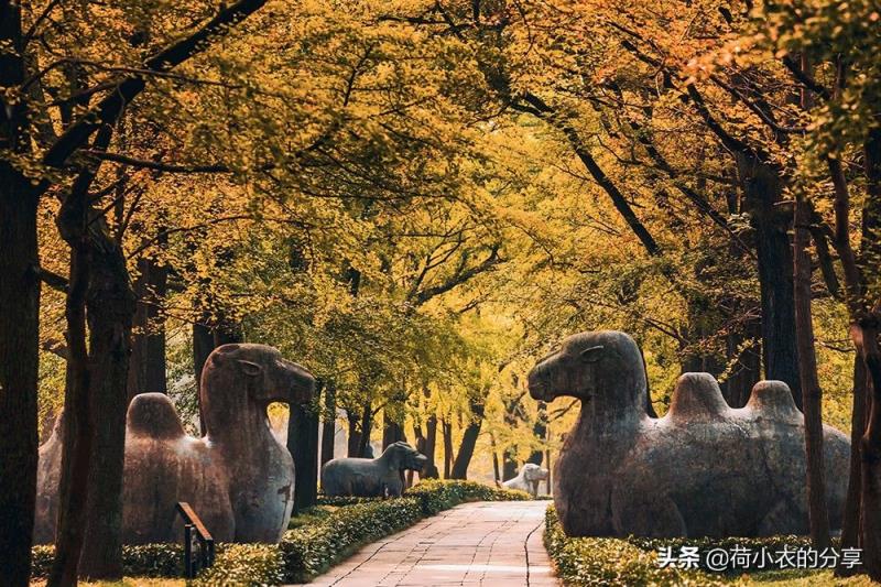南京旅游景点介绍南京8大名胜古迹