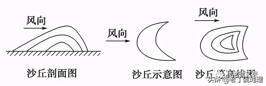 新月形沙丘示意图(侧视图)新月形沙丘示意图(从上方)随风而动,掩埋